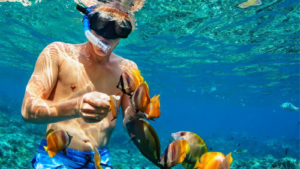 SHARE SNORKELING 6-1600X900