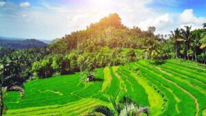Bukit Jambul -1600X900-2