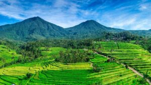 jatiluwih4-1600x900